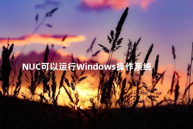 NUC可以运行Windows操作系统吗