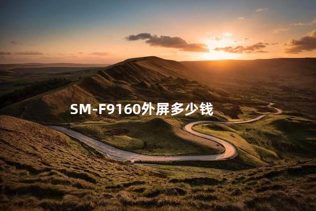 SM-F9160外屏多少钱