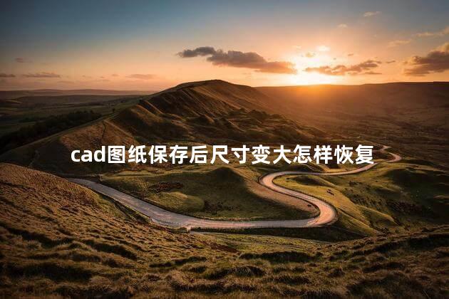 cad图纸保存后尺寸变大怎样恢复