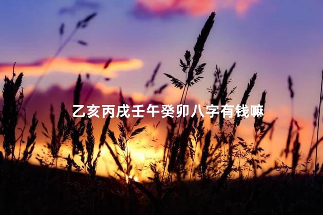 乙亥丙戌壬午癸卯八字有钱嘛