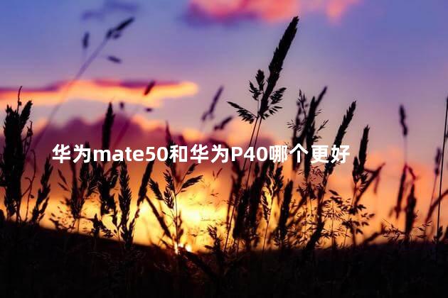 华为mate50和华为P40哪个更好