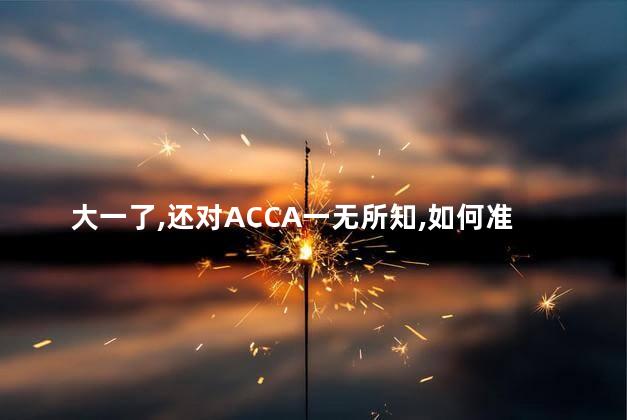 大一了，还对ACCA一无所知，如何准备2024年ACCA考试