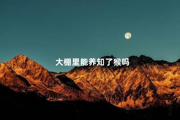 大棚里能养知了猴吗