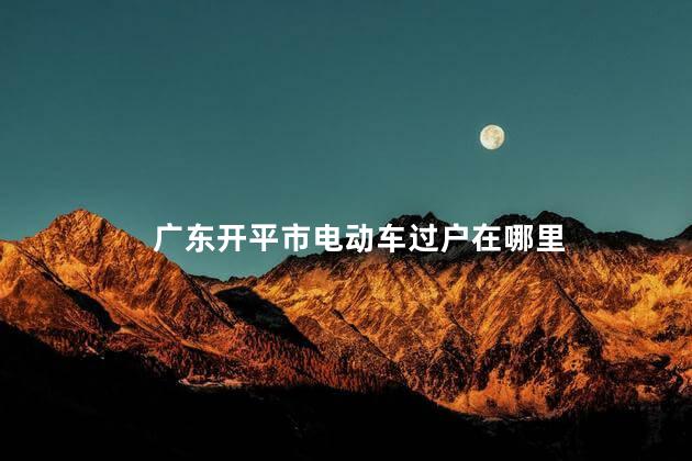 广东开平市电动车过户在哪里