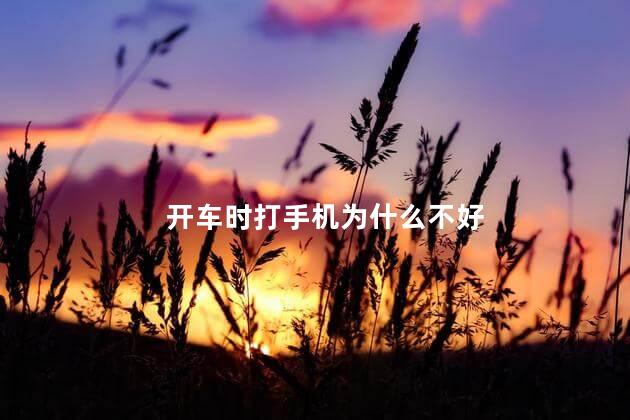 开车时打手机为什么不好，开车时打手机有什么不好