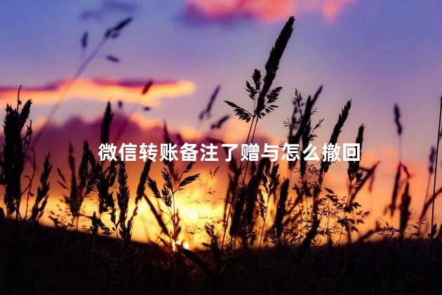 微信转账备注了赠与怎么撤回