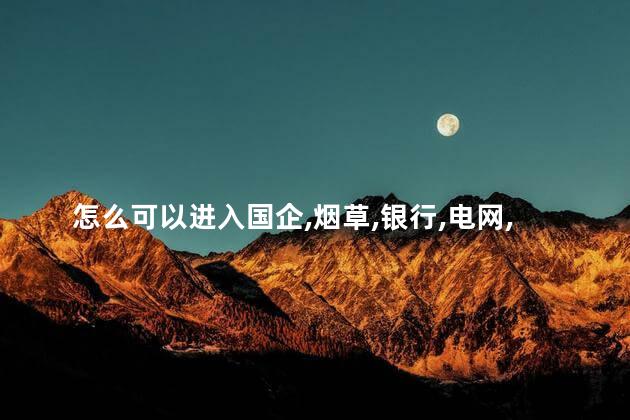 怎么可以进入国企、烟草、银行、电网、铁路国企单位工作