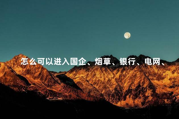 怎么可以进入国企、烟草、银行、电网、铁路国企单位工作