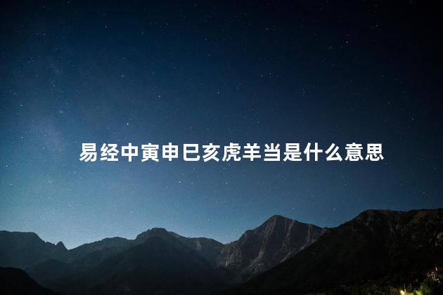 易经中寅申巳亥虎羊当是什么意思