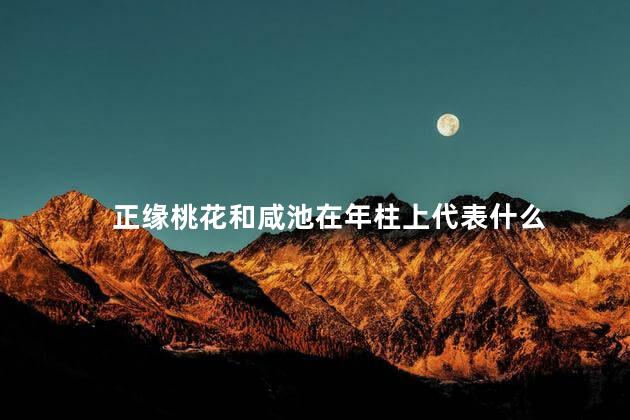 正缘桃花和咸池在年柱上代表什么