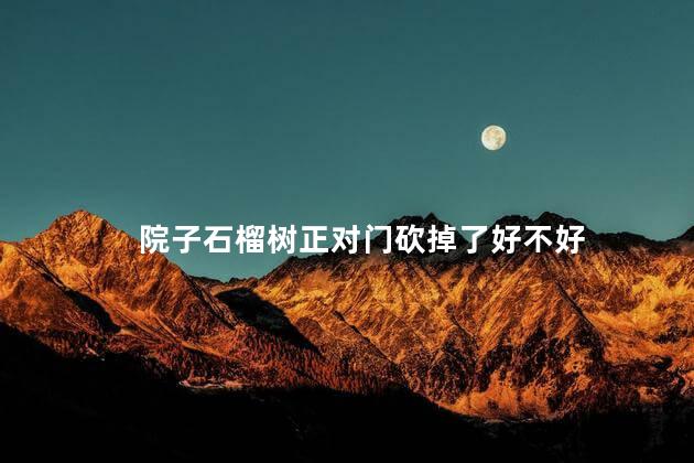 院子石榴树正对门砍掉了好不好